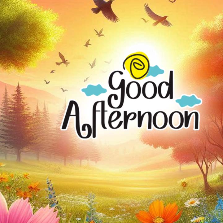 Good Afternoon Images with Quotes for whatsapp Status