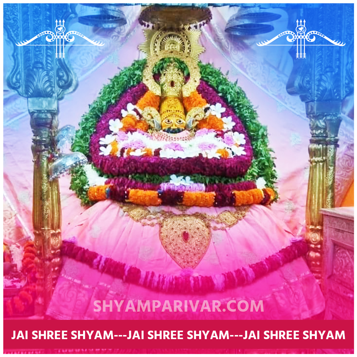 Khatu shyam ji darshan LIve today photos, images and wallpaper